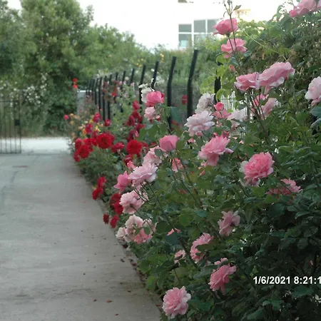 Mare - Mare B Casa de hóspedes Patras