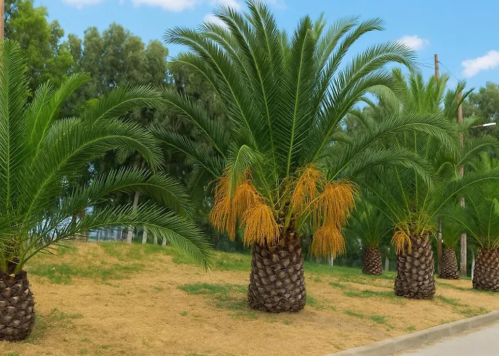 Mare - Mare B Casa de hóspedes Patras