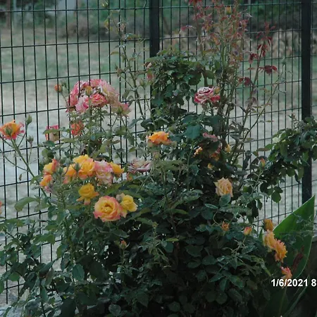 Mare - Mare B Gæstehus Patras