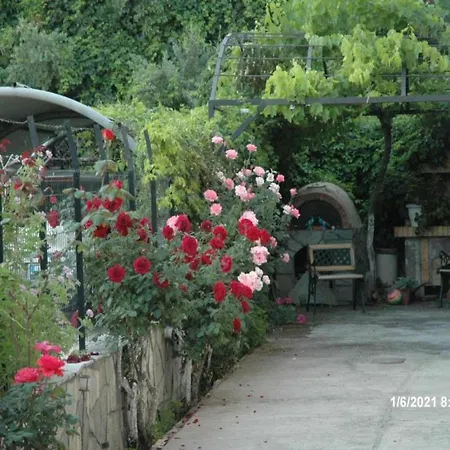 Pensionat Mare - Mare B