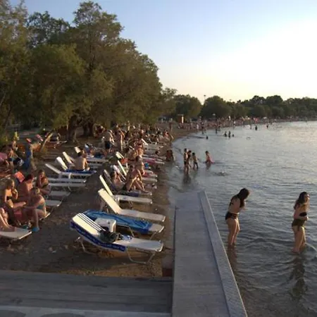 Mare - Mare B Gæstehus