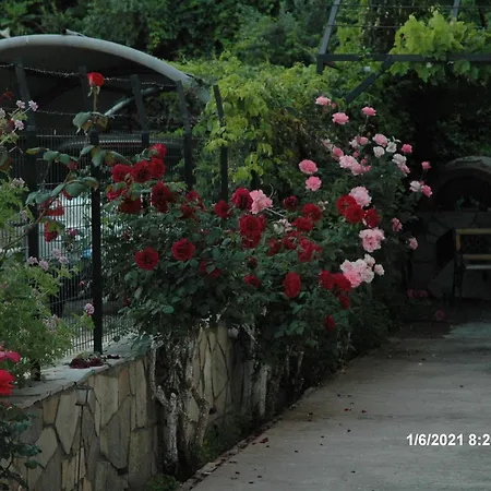 Gæstehus Mare - Mare B 3*