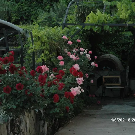 Mare - Mare B Vendégház 3*