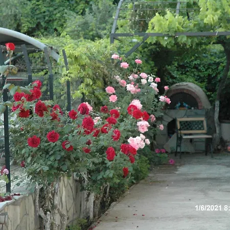 Mare - Mare B Gæstehus 3*