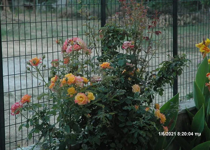 Mare - Mare B Πανσιόν Πάτρα