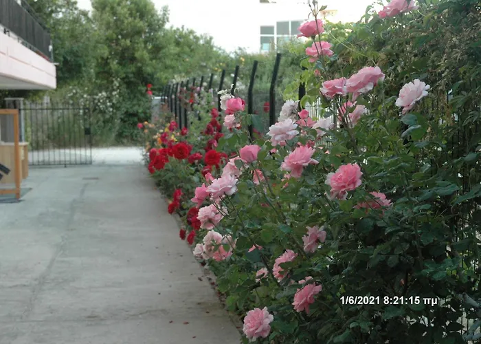 Mare - Mare B Πανσιόν Πάτρα