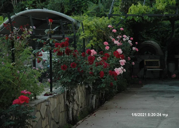 Πανσιόν Mare - Mare B 3*