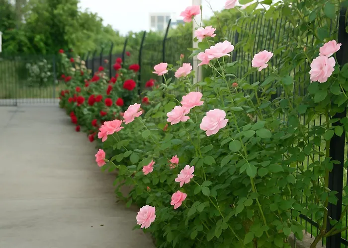 Mare - Mare B Pensjonat Patras